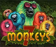 7 Monkeys